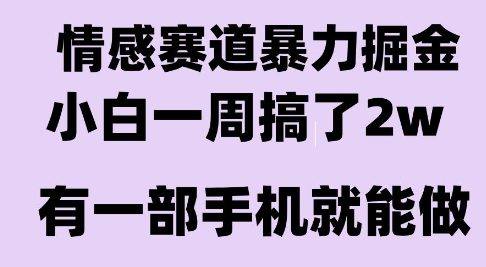 情感暴力掘金项目,新人操作一周挣了2W,长期稳定小白可做【揭秘】-樵渔匹