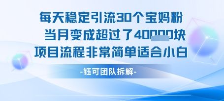每天稳定引流30个人 当月变成超过了4个W项目流程非常简单适合小白-樵渔匹