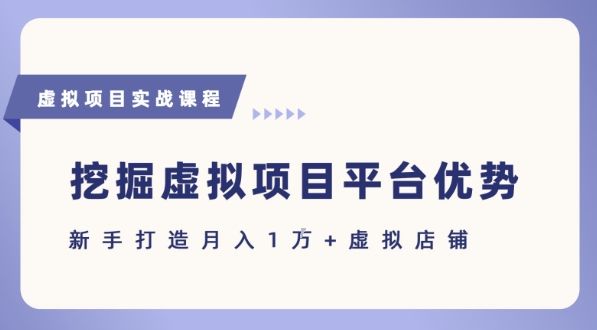 抓住虚拟项目各平台优势，新手轻松月入1W+(给出具体建议)-樵渔匹