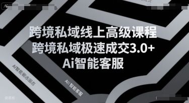 跨境私域线上高级课程,跨境私域极速成交3.0+Ai智能客服-樵渔匹
