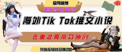 海外tiktok小说推文暴力项目,高停留率,高转化率,上手后一天搞顿饭钱不是问题-樵渔匹