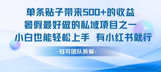 单条贴子带来5张的收益，暑假最好做的私域项目之一，小白也能轻松上手，有小红书就行-樵渔匹