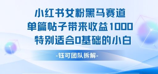 小红书女粉黑马赛道单篇帖子带来收益1k+,特别适合0基础的小白-樵渔匹