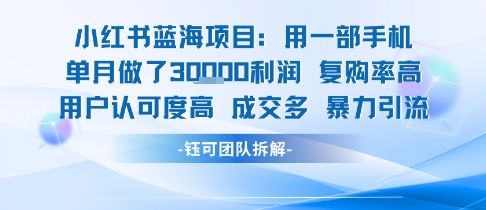 小红书蓝海项目,一部手机单月做了3W利润,小白也能月入过1W用户认可度高成交多-樵渔匹