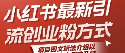 小红书最新引流创业粉方式,项目图文玩法介绍以及如何安全倒流私域-樵渔匹
