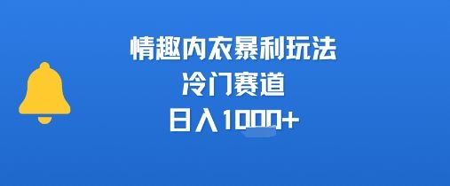 情趣内衣暴利玩法,冷门赛道,日入1k+-樵渔匹