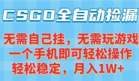 CSGO自动捡漏项目,最新独家玩法,一个手机可操作,新手小白轻松月入1W+,操作简单易上手【揭秘】-樵渔匹