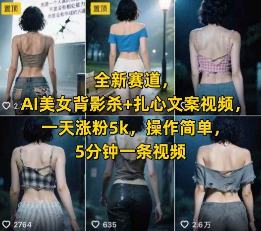 全新赛道,AI美女背影杀+扎心文案视频,一天涨粉5k,操作简单,5分钟一条视频-樵渔匹
