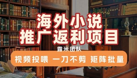 海外小说推广返利项目,视频投喂, 一刀不剪,矩阵批量-樵渔匹