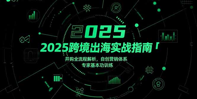 2025跨境出海实战指南，并购全流程解析，自创营销体系，专家基本功训练-樵渔匹