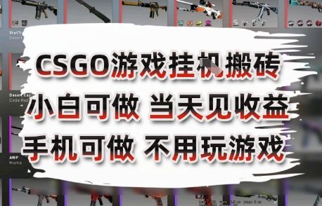 CSGO游戏挂G搬砖，小白纯手机即可操作，不用电脑打游戏，日入3张+，副业网创项目【揭秘】-樵渔匹