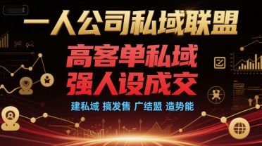 一人公司私域联盟，高客单私域，强人设成交，建私域 搞发售 广结盟 造势能-樵渔匹