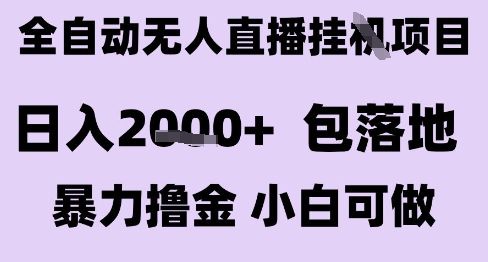 最新全自动抖音无人直播挂G项目,日入2k+ 包落地暴力撸金,小白可做【揭秘】-樵渔匹
