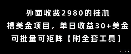 外面收费2980的挂G撸美金项目，单日收益30+美金，可批量可矩阵【揭秘】-樵渔匹