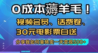 0成本薅羊毛!视频会员、话费卷、30元电影票白送,分享我如何靠转卖一天变现5张+【揭秘】-樵渔匹