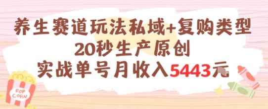 养生赛道玩法私域+复购类型,20秒生产原创实战单号月收入5k+-樵渔匹