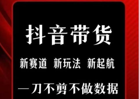 抖音短视频一刀不剪带货,不剪辑,不直播,每天发个视频,等着出单获取带货佣金-樵渔匹