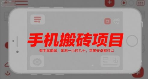 手机搬砖项目,有手就能做,亲测一小时几十,苹果安卓都可以-樵渔匹