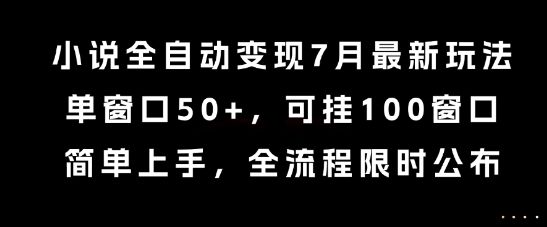 小说全自动变现7月玩法，单窗口50+，可挂100窗口，简单上手，全流程限时公布【揭秘】-樵渔匹