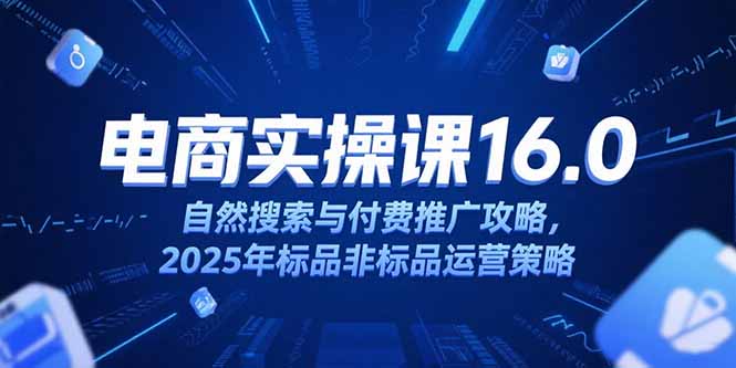 淘宝电商运营课16.0，自然搜索与付费推广攻略，2025年标品非标品运营策略-樵渔匹