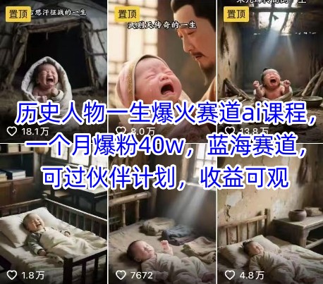 历史人物一生爆火赛道ai课程，一个月爆粉40w，蓝海赛道，可过伙伴计划，收益可观-樵渔匹