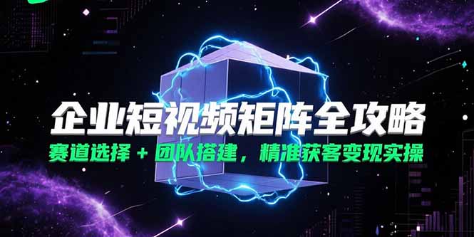 企业短视频矩阵全攻略,赛道选择+团队搭建,精准获客变现实操-樵渔匹