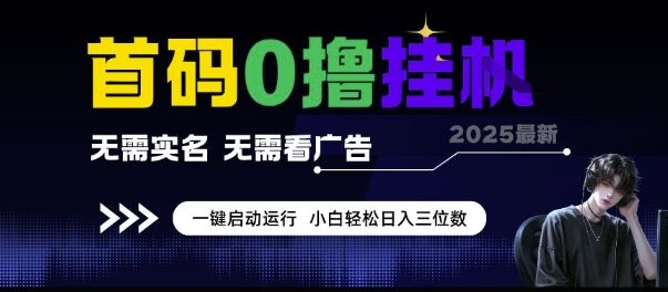 首码0撸挂G项目,无需实名无需看广告 一键启动运行,小白轻松日入三位数【揭秘】-樵渔匹
