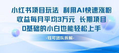 适合小白操作的小红书新项目，利用AI快速涨粉，收益每月平均1W+-樵渔匹