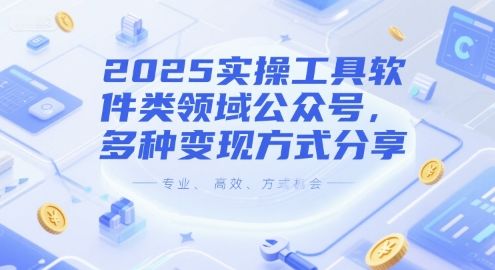 2025实操工具软件类领域公众号，多种变现方式分享-樵渔匹