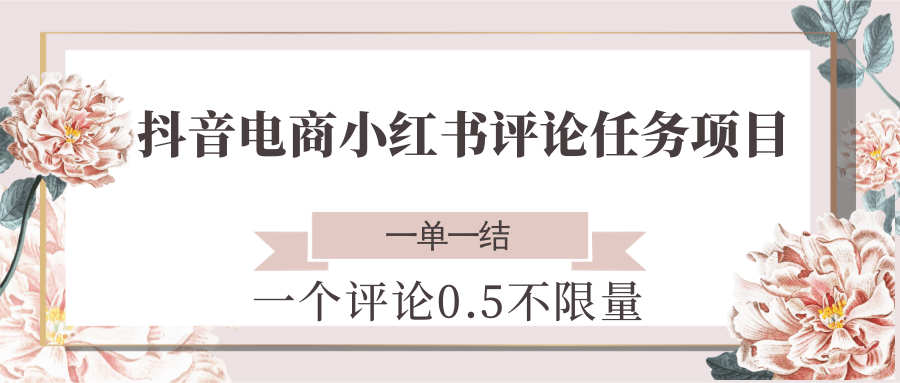 抖音电商小红书评论任务项目,一个评论0.5,一单一结 不限量-樵渔匹