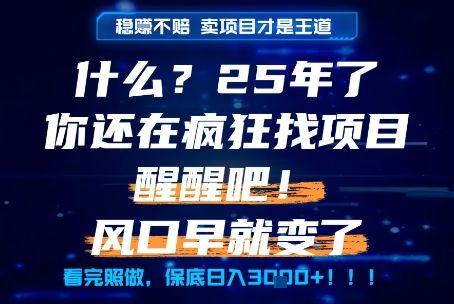 什么?25年你还在疯狂找项目做,醒醒吧,看完这些你全都懂了!【揭秘】-樵渔匹