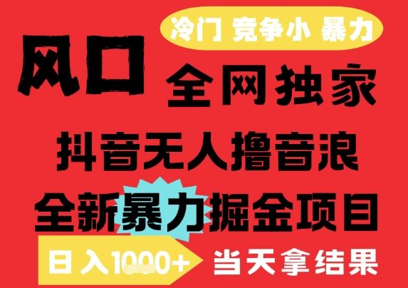 25年6月高爆抖音无人直播最新撸音浪掘金项目，解放双手小白可做，无脑日入1k+，门槛低【揭秘】-樵渔匹