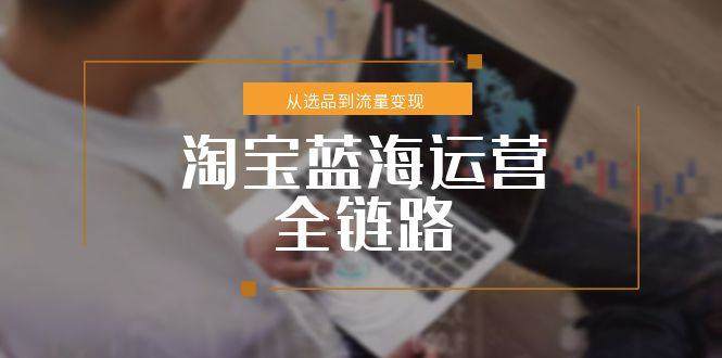 淘宝蓝海运营全链路,从选品到流量变现,小类目突围完整方案-樵渔匹