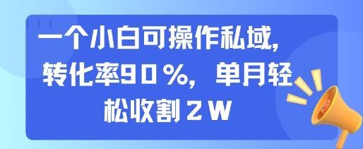 一个小白可操作私域，转化率90%，单月轻松收割2W-樵渔匹