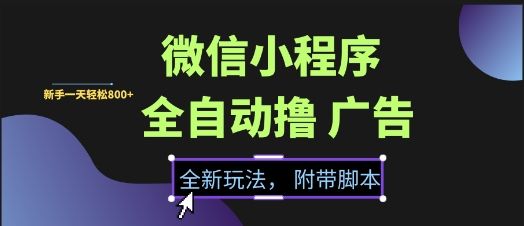 微信小程序全自动撸广告项目,彻底解决没流量的问题,新手一天8张+【揭秘】-樵渔匹