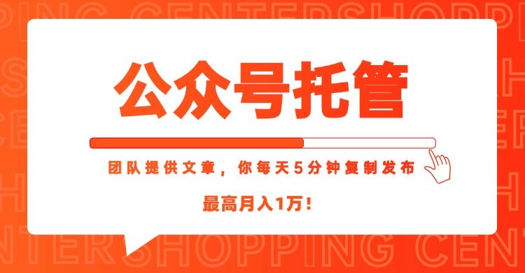 【公众号托管 】我提供文章,你每天5分钟复制发布,最高月入1W-樵渔匹