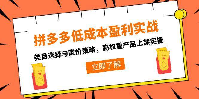 拼多多低成本盈利实战，类目选择与定价策略，高权重产品上架实操-樵渔匹