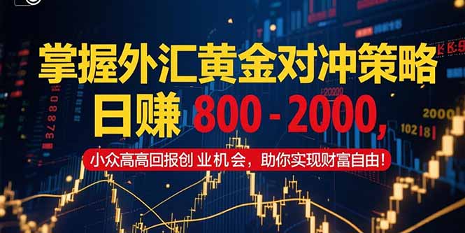 掌握外汇黄金对冲策略,日赚 800 - 2000,小众高回报创业机会,助你实...-樵渔匹