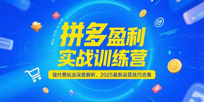 拼多多盈利实战训练营,强付费玩法深度解析,2025运营技巧合集-更新6月-樵渔匹