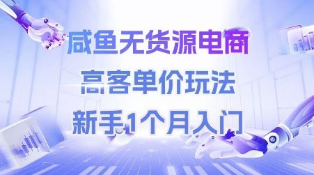 咸鱼无货源电商，高客单价玩法，新手1个月入门-樵渔匹