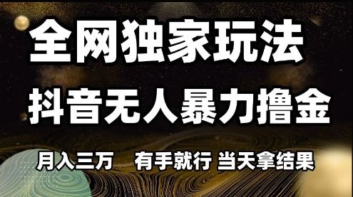 全网独家玩法抖音无人暴力撸金,月入3W,有手就行,当天拿结果【揭秘】-樵渔匹