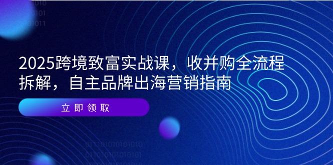 2025跨境致富实战课，收并购全流程拆解，自主品牌出海营销指南-樵渔匹