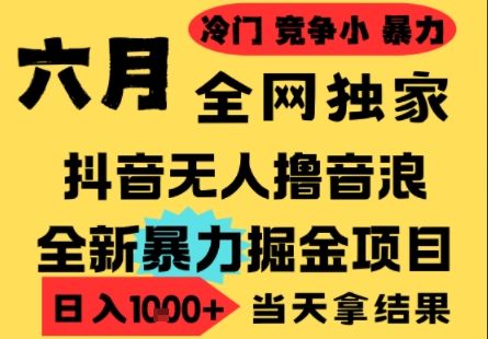 25年6月高爆抖音无人直播最新撸音浪掘金项目，小白可做，无脑日入1k+，门槛低可批量矩阵【揭秘】-樵渔匹