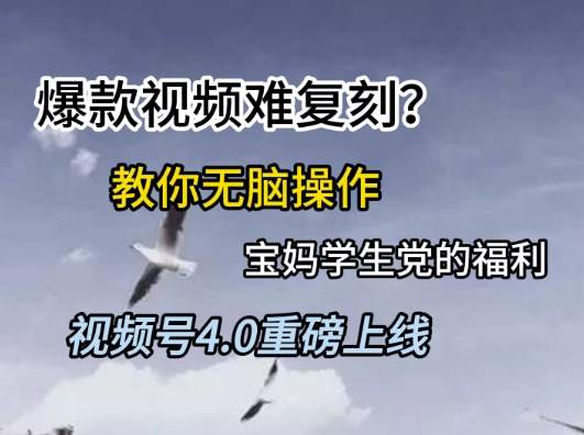 视频号4.0重磅上线,爆款视频难复刻?教你无脑操作宝妈学生党的福利【揭秘】-樵渔匹