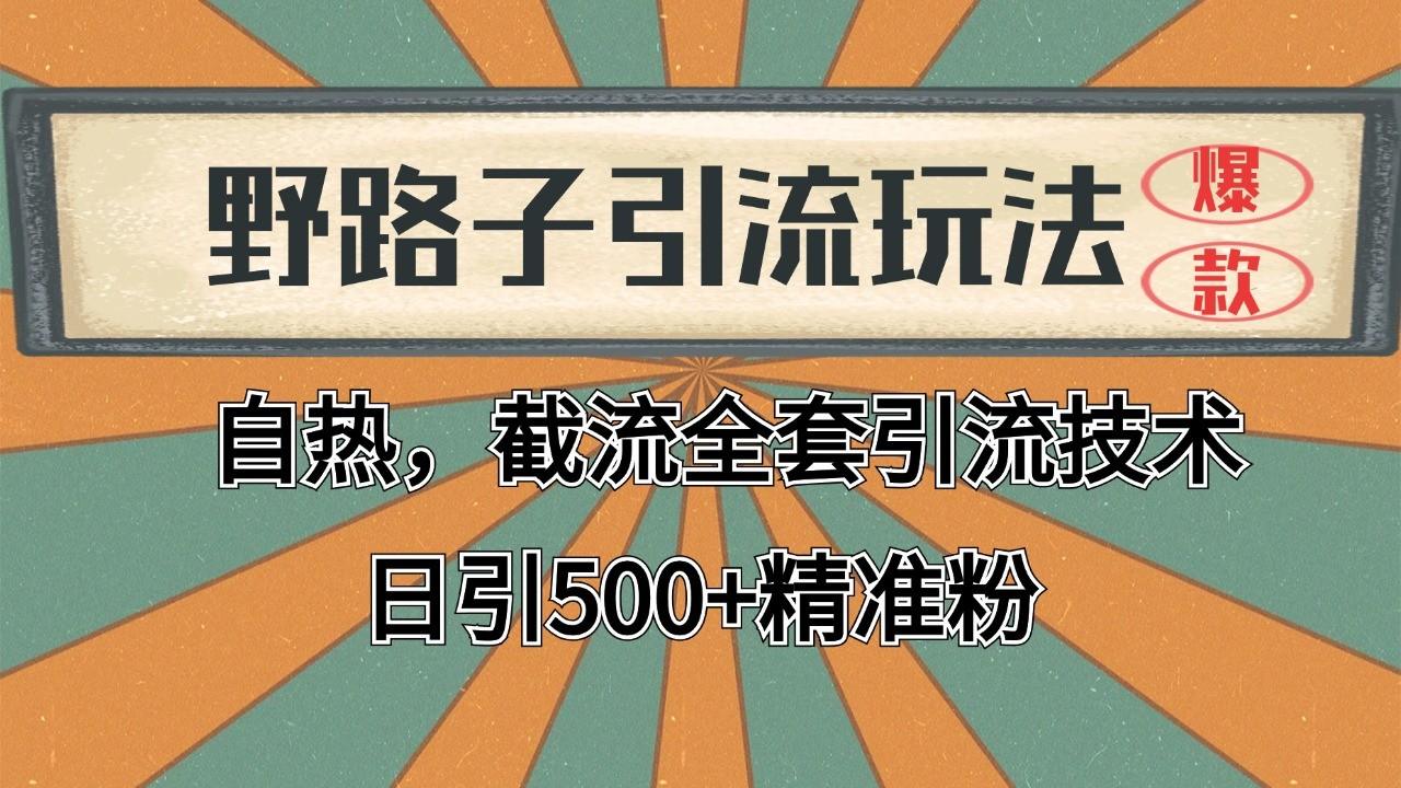 2024首发野路子引流玩法截流自热全平台打法，全自动引流【日引2000+精准客户】-樵渔匹