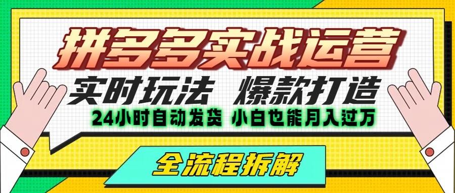拼多多最新实战运营高投产:长久稳定项目,单店利润一天三位数-樵渔匹