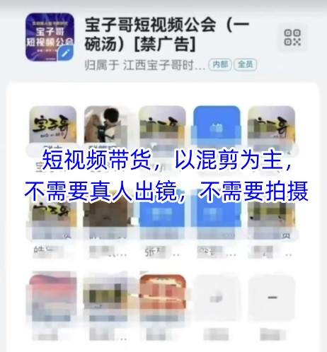 宝子哥头部团队短视频带货,以混剪为主,不需要真人出镜,不需要拍摄【更新】-樵渔匹