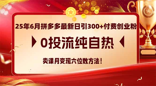 25年6月拼多多最新日引300+付费创业粉，0投流纯自热 卖课月变现六位数方法-樵渔匹