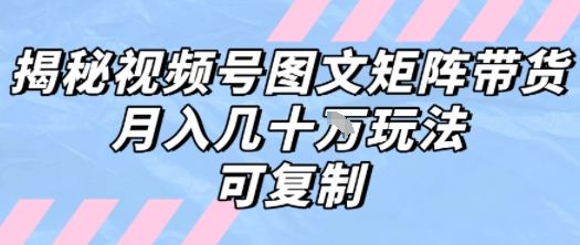 解密视频号图文矩阵带货，月入几个W的打法，可复制-樵渔匹