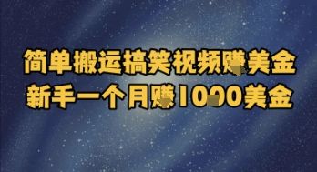 简单搬运搞笑视频挣美金，新手一个月入1k美金-樵渔匹